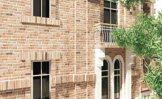 Muralla Monopole