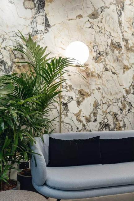 Etoile De Rex Rex Ceramiche